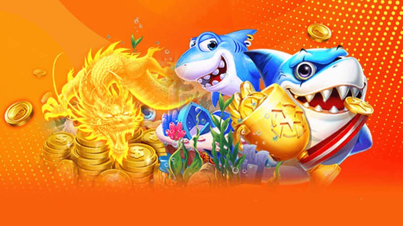 Bản chất cơ học và kiến trúc đồ họa của ngư trường đại dương trực tuyến