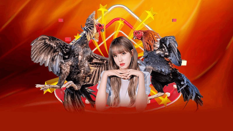 Các bước tham gia sảnh Đá Gà Vip66 trực quan bảo an dòng vốn ròng
